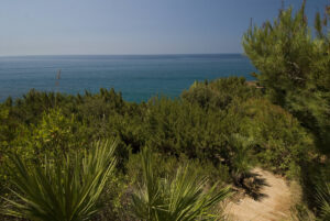macchia mediterranea @ san felice circeo